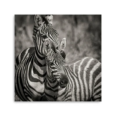 Zebra Pair Canvas Giclee
