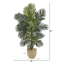 5ft. Golden Cane Palm Tree in Sandstone Planter