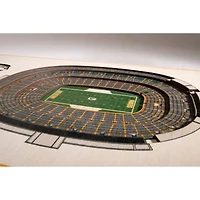 NFL 5-Layer StadiumView Wall Art