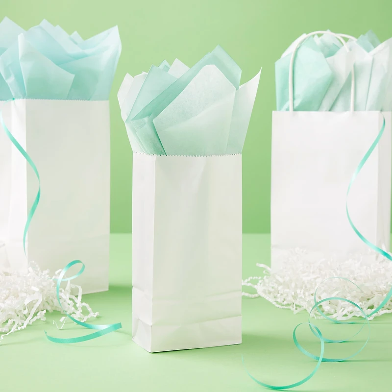 1lb. Treat Bags by Celebrate It