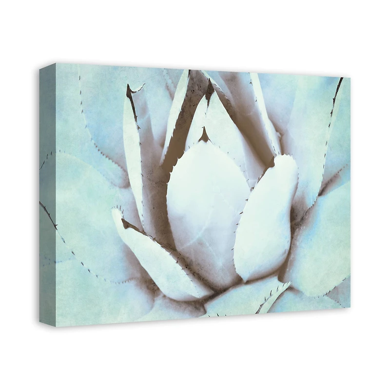 Green Succulent 20" x 16" Canvas Wall Art