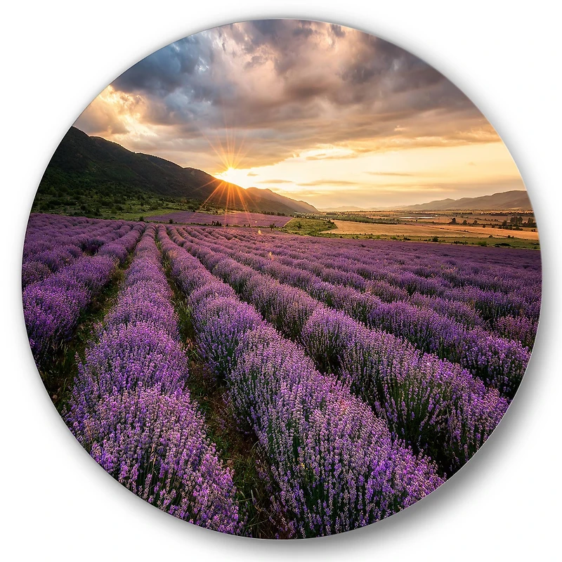 Designart - Sunrise & Dramatic Clouds Over Lavender Field VI