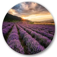 Designart - Sunrise & Dramatic Clouds Over Lavender Field VI