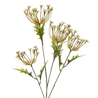 36" Cream Queen Anne's Lace Stem by Ashland® 