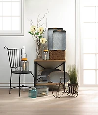 14" Galvanized Bucket Bike Plant Stand