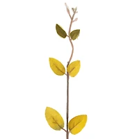 Lonicera Leaf Spray by Ashland