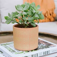 Hello Honey® Coral Stoneware Pots with Gold Pattern Set