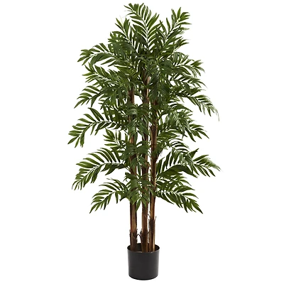 4ft. Potted Parlour Palm Tree