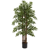 4ft. Potted Parlour Palm Tree