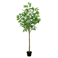 6ft. Potted Green Artificial Greco Citrus Tree with Real Touch Leaves