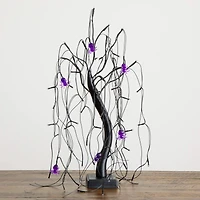 2ft. Pre-Lit Halloween Artificial Black Spooky Spider Willow Tree with 60 Orange & Purple LED Lights