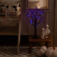 2ft. Pre-Lit Artificial Halloween Spider Twig Tree with 24 Purple LED Lights