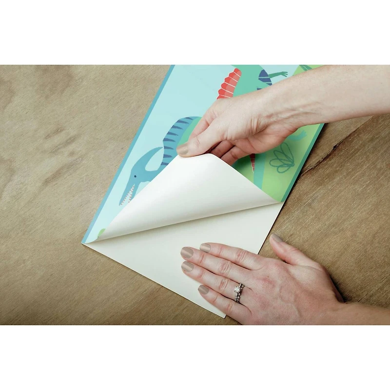 RoomMates Dinosaur Parade Peel & Stick Wallpaper Border