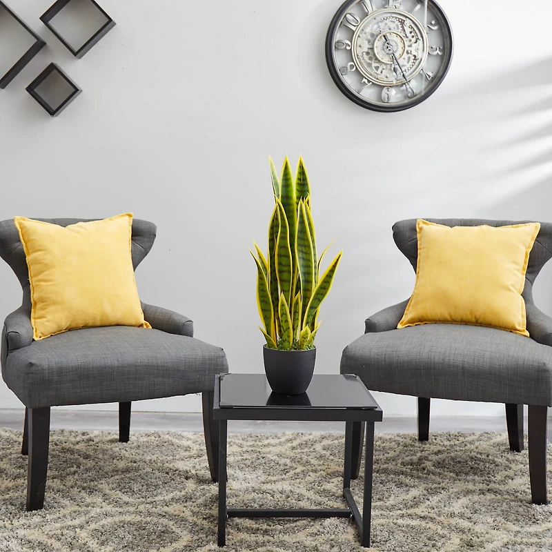 26in. Potted Sansevieria Plant