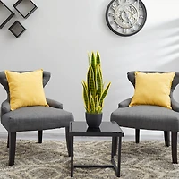 26in. Potted Sansevieria Plant