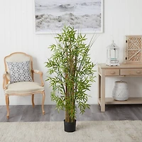 5ft. Potted Bamboo Grass Plant