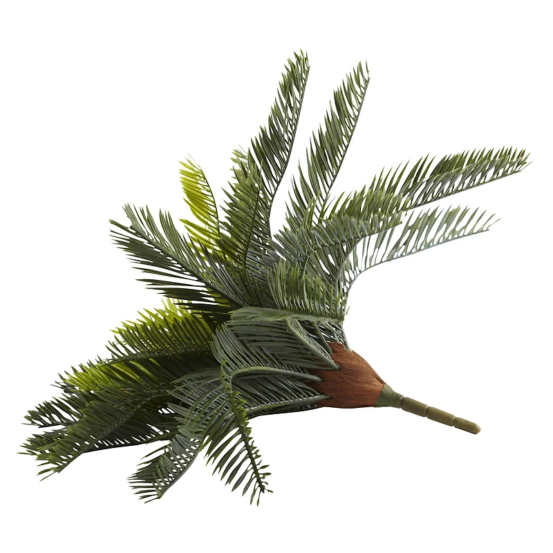 Green Cycas Pick, 2ct.