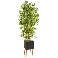 5ft. Bamboo Tree in Black Planter with Stand