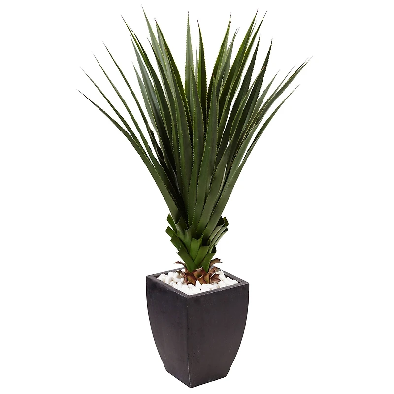 4.5ft. Spiked Agave Plant In Black Planter