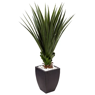 4.5ft. Spiked Agave Plant In Black Planter