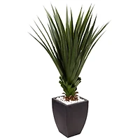 4.5ft. Spiked Agave Plant In Black Planter