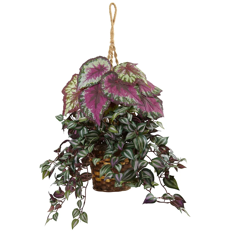 3ft. Inchplant & Begonia Hanging Basket