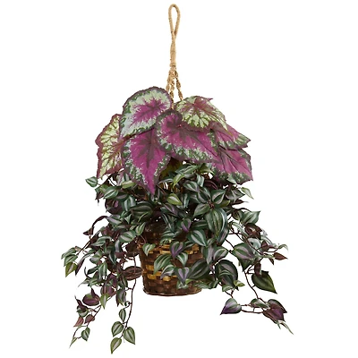 3ft. Inchplant & Begonia Hanging Basket