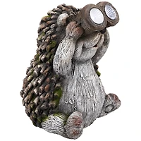 11.5" Hedgehog with Binoculars Outdoor Solar Lighted Garden Statue 