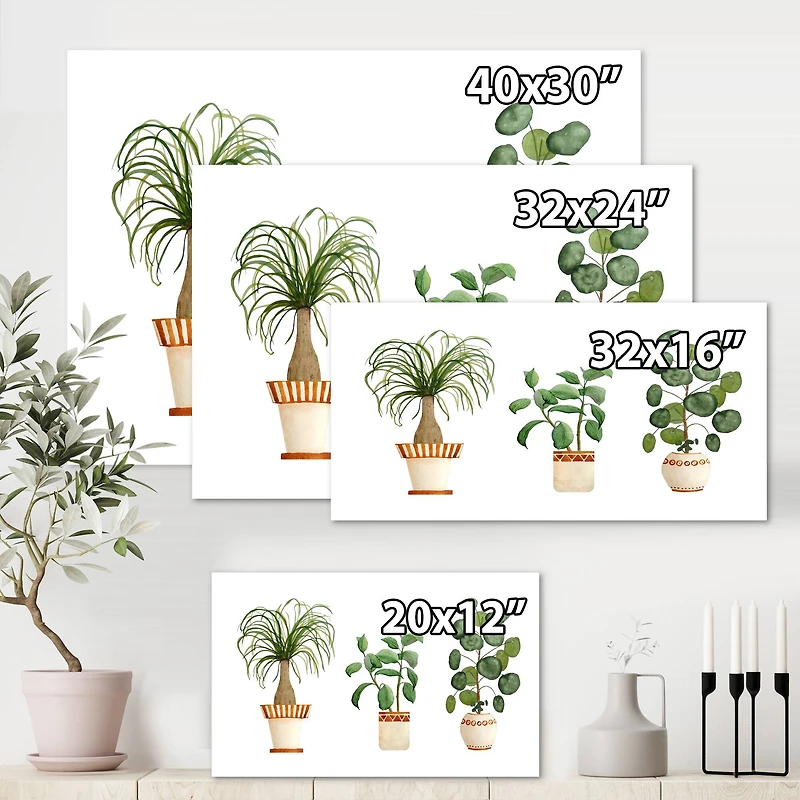 Designart - Trio of House Plants Ponytail Palm and Ficus