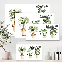 Designart - Trio of House Plants Ponytail Palm and Ficus