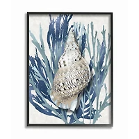 Stupell Industries Shell Coral Blue Beach Design Framed Wall Art