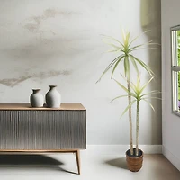 4ft. Yucca Faux Plant in Woven Basket by Ashland®