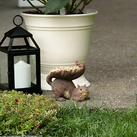 6" Woodland Squirrel Bird Feeder