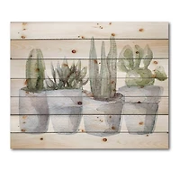 Designart - Cactus and Succulent House Plants V