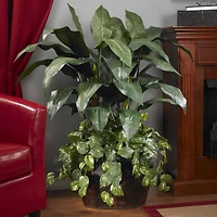 4ft. Double Bird of Paradise & Pothos in Decorative Vase