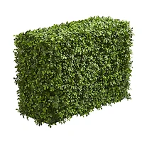 2.5ft. Eucalyptus Hedge