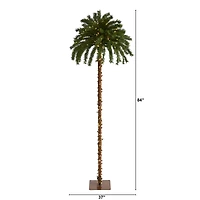 7ft. Pre-Lit Christmas Palm Tree, Warm White LED Lights