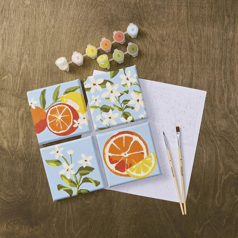 Citrus Paint-by-Number Gallery Mini Kit by Artist's Loft®