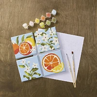 Citrus Paint-by-Number Gallery Mini Kit by Artist's Loft®