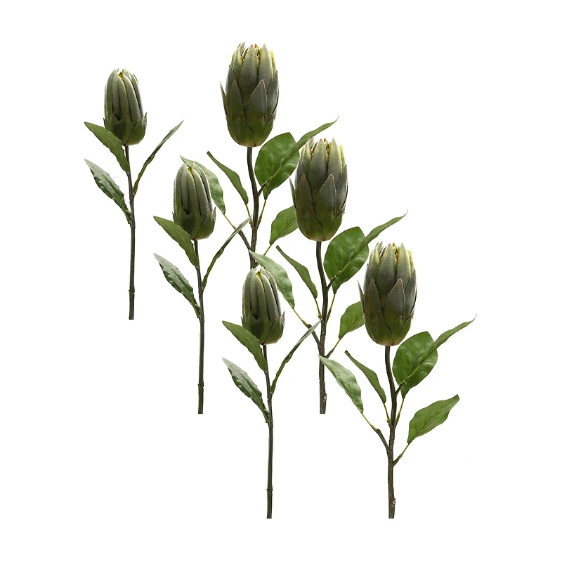 Green Protea Leaf Stems Set