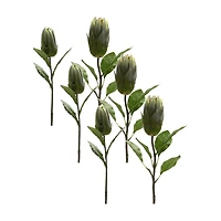 Green Protea Leaf Stems Set