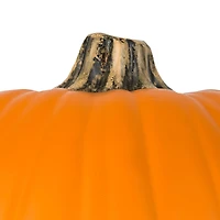 Orange Craft Pumpkin by Ashland