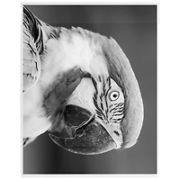 JAM Paper 11.25" x 14.25" Clear No. 10 Policy Cello Sleeve Envelopes, 100ct.