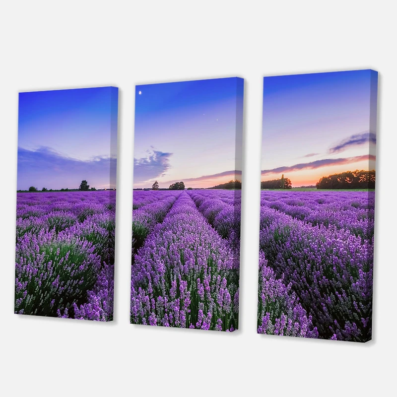 Designart - Sunrise & Dramatic Clouds Over Lavender Field II