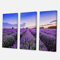 Designart - Sunrise & Dramatic Clouds Over Lavender Field II