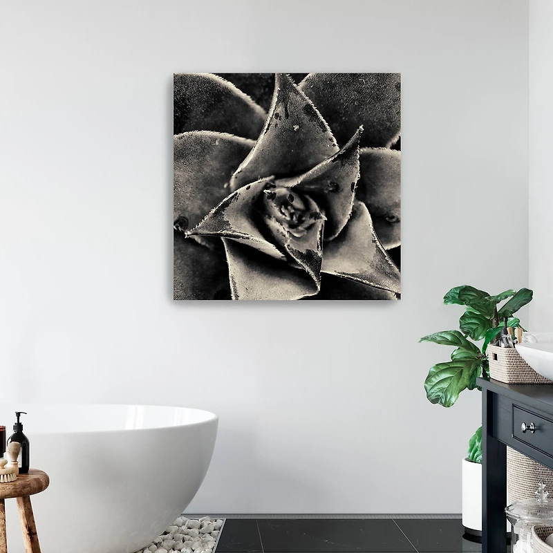 Lumaprints Seattle Succulents Giclée Canvas