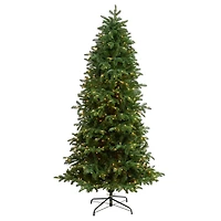 7ft. Pre-Lit South Carolina Fir Artificial Christmas Tree, Clear Lights