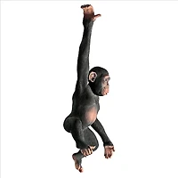 Design Toscano 37" Hanging Jungle Monkey Statue