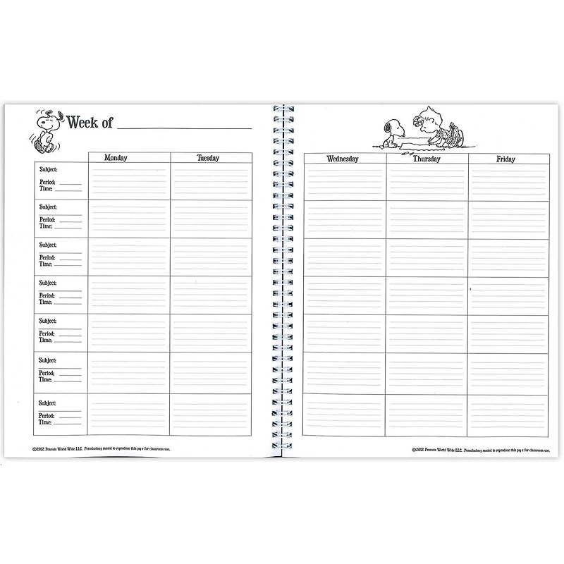 Eureka® Peanuts® Lesson Plan & Record Book, 2 ct.