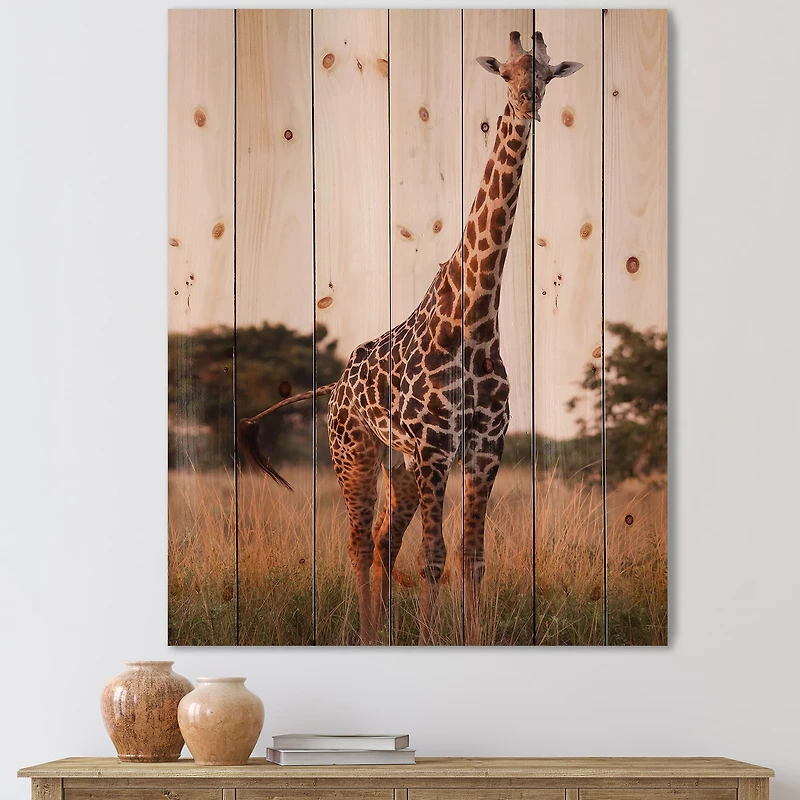 Designart - African Giraffe In The Wild I